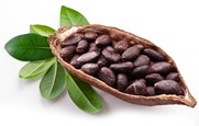 bigstock-Cocoa-pod-on-a-white-backgroun-45753739 Sml
