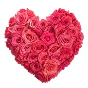 bigstock-Rose-Flowers-Heart-Over-White-Sml.jpg