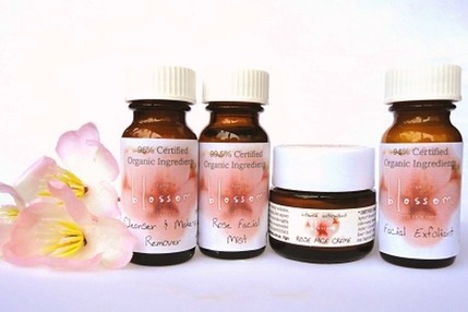 blossom Rose Sampler sml.jpg