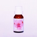 Tea Tree Essential Oil (640x628)